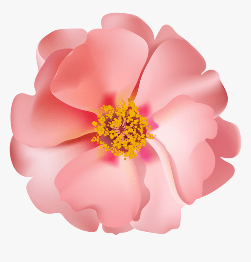Free Png Rosebush Flower Png Images Transparent - Bush Pink Flower Png, Png Download, Free Download