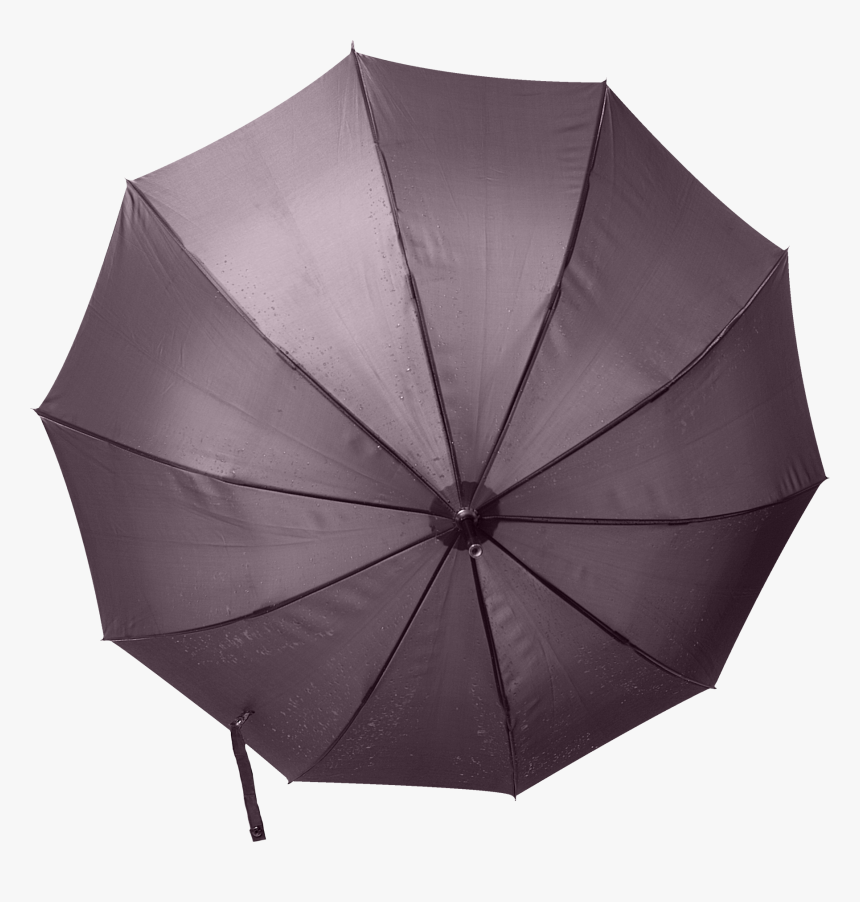 Umbrella Png - Umbrella, Transparent Png, Free Download