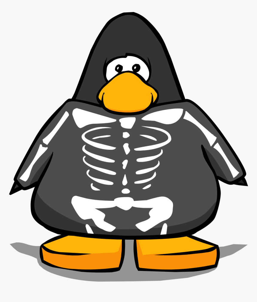 Penguin With A Scarf, HD Png Download, Free Download