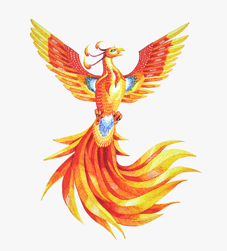 Phoenix Hd - Phoenix Png, Transparent Png, Free Download