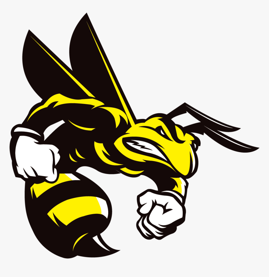 Transparent Hornet Png - Angry Bee Vector Png, Png Download, Free Download