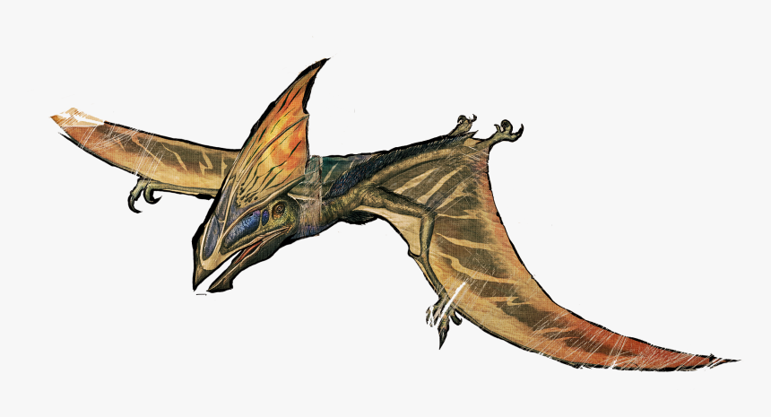 Clip Art Ark Survival Evolved Tapejara - Ark Tapejara Png, Transparent Png, Free Download