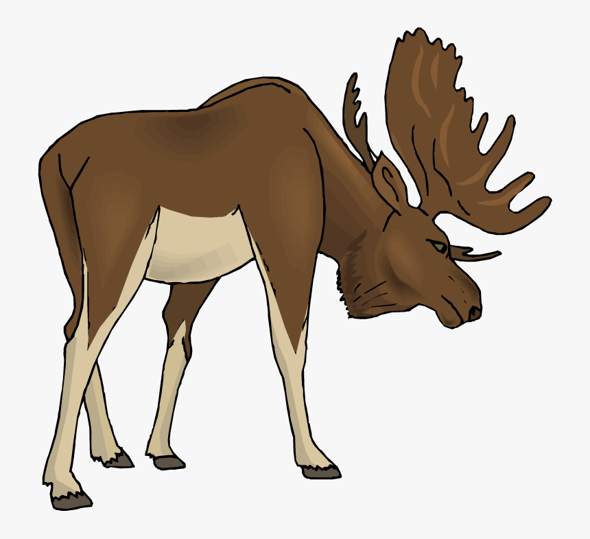 Moose Cartoon Images Hd Photo Clipart - Moose Clipart Transparent, HD Png Download, Free Download