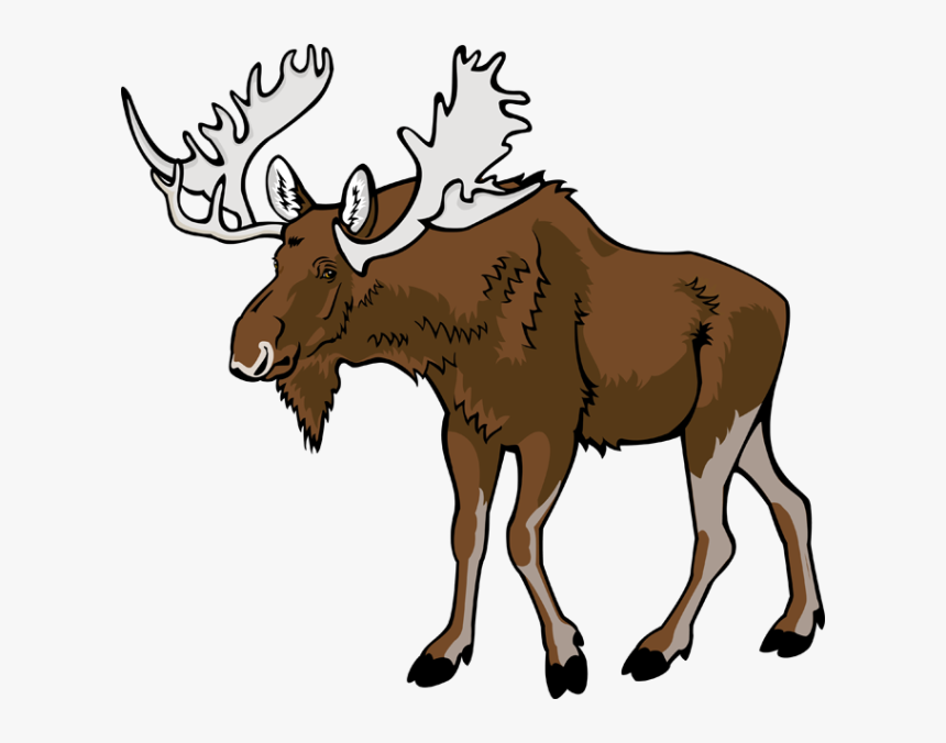 Moose Png Clipart - Cartoon Moose, Transparent Png, Free Download