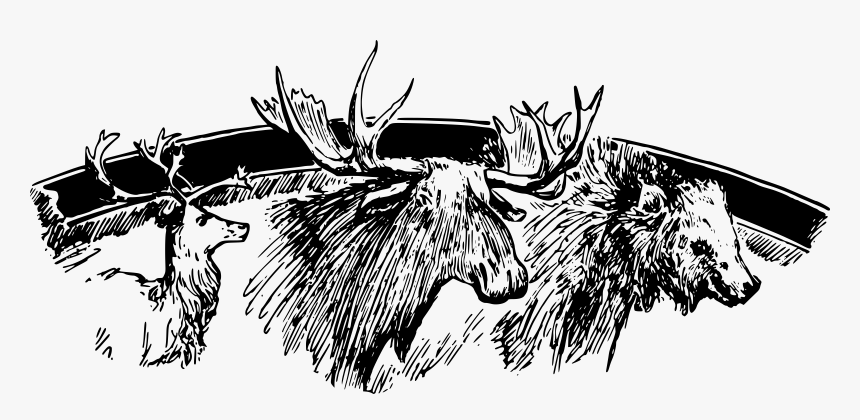 Caribou, Moose, Bear Clip Arts - Illustration, HD Png Download, Free Download