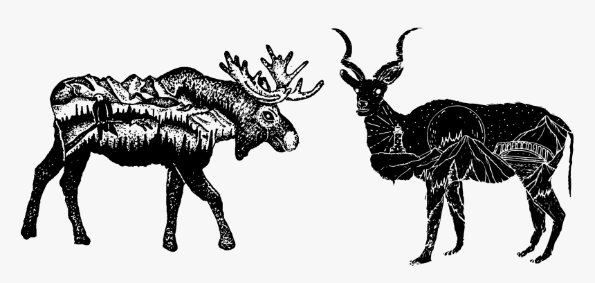 Moose Compared To A Kudu, HD Png Download, Free Download