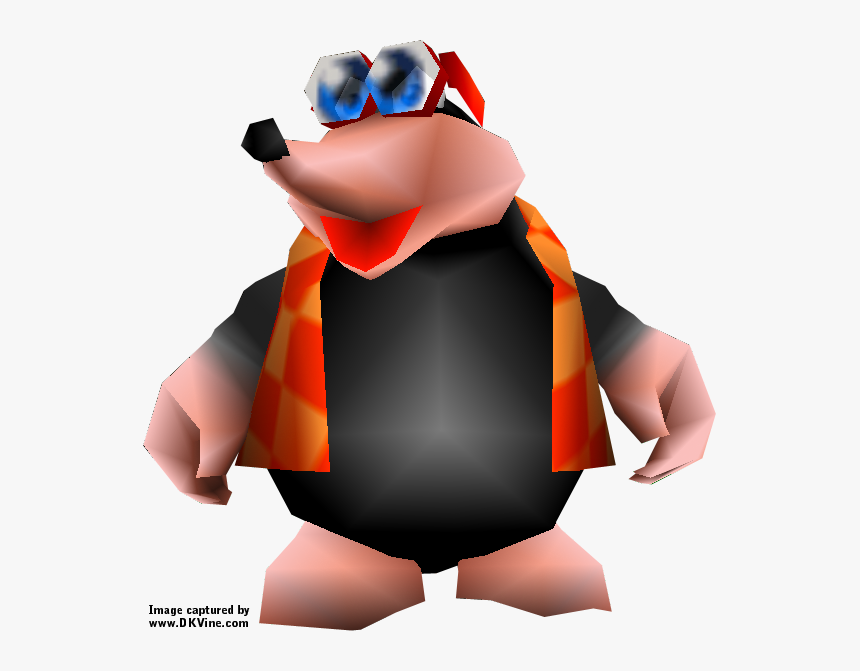 Bottles Banjo Kazooie Spirit, HD Png Download, Free Download