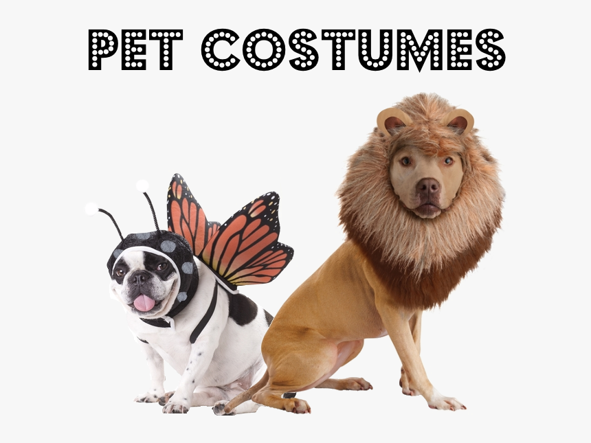 Dogs In Animal Costumes , Transparent Cartoons - Pet Animal Costumes, HD Png Download, Free Download