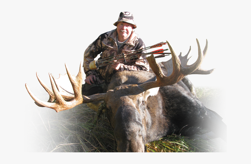 Archery Moose - Elk, HD Png Download, Free Download