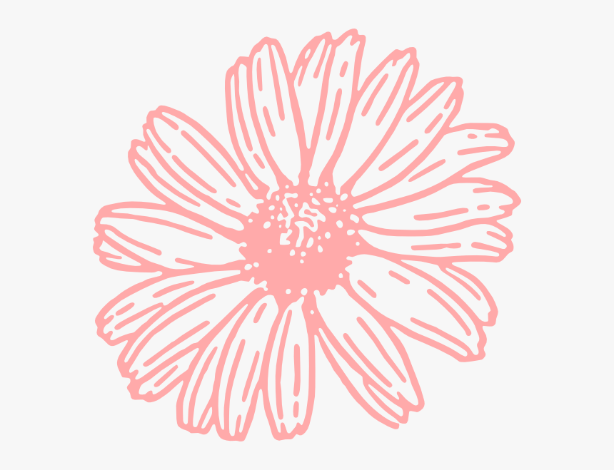 Daisy Clipart Png, Transparent Png, Free Download