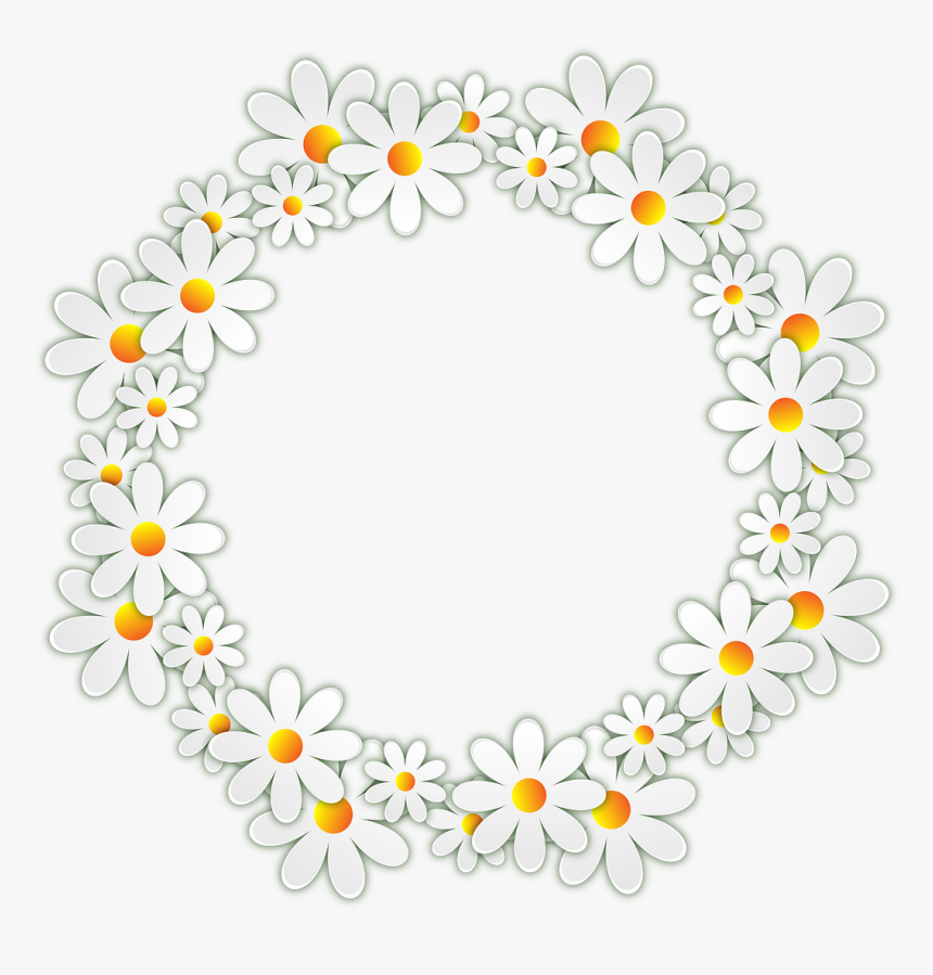 Free Image On Pixabay - Transparent Background Daisy Png, Png Download, Free Download