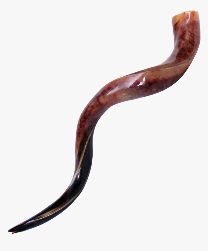 Shofar Horn Png Clipart - Imagenes De Un Shofar, Transparent Png, Free Download