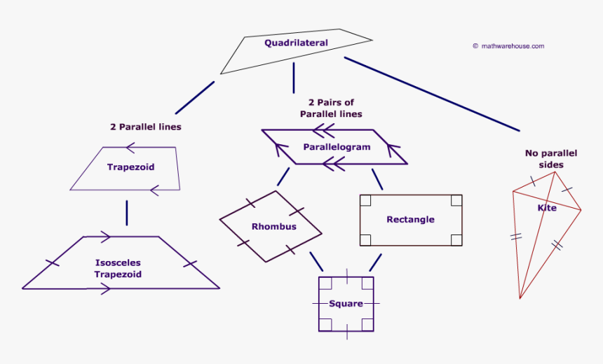 Transparent Parallelogram Png - Types Of Quadrilateral Diagram, Png Download, Free Download