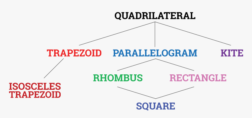 Quadrilateral Flow Chart - Pbs, HD Png Download, Free Download