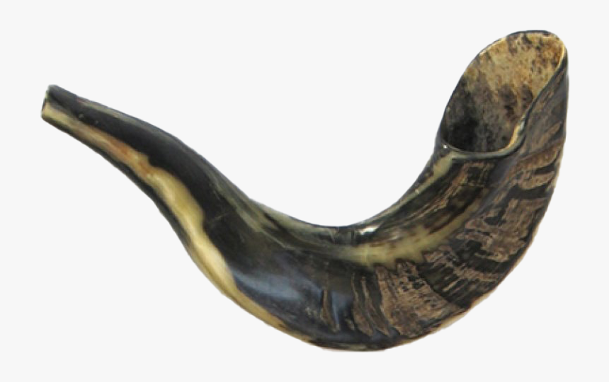 Shofar Png Transparent Picture - Shofar, Png Download, Free Download