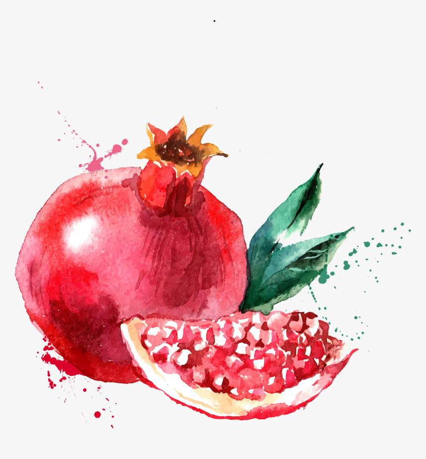 Pomegranate Watercolor Painting, HD Png Download, Free Download