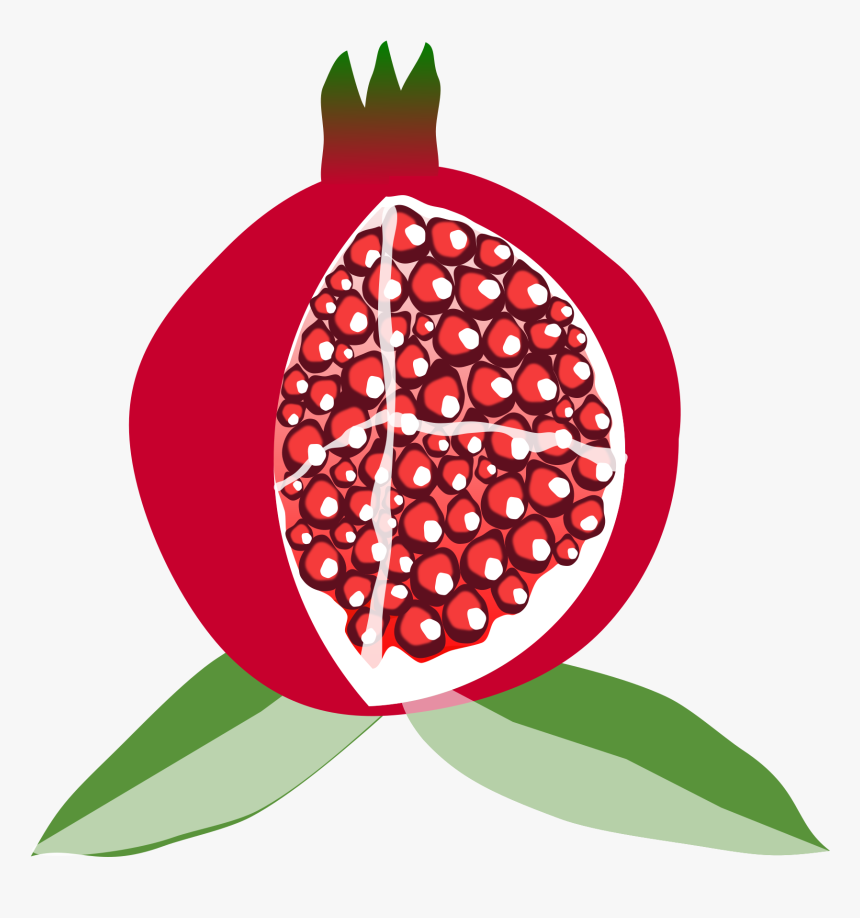 Pomegranate Png Available In Different Size - Cartoon Pomegranate Png, Transparent Png, Free Download