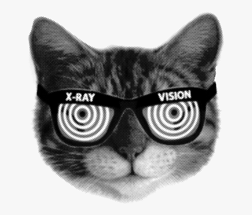 Cat Head X Ray Vision Kitten Kitty Furball Funny Humor - X Ray Vision Gif, HD Png Download, Free Download