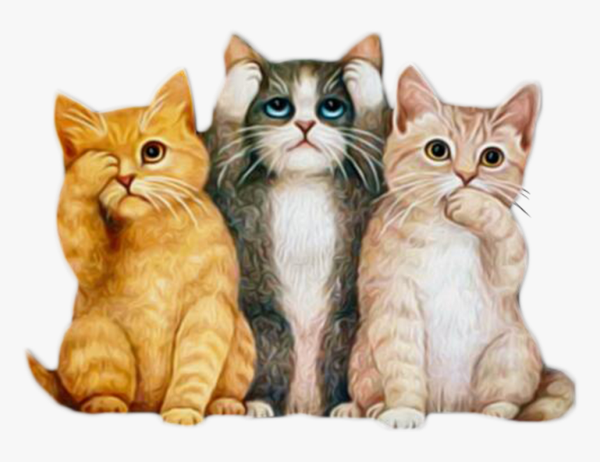 Cute Kittens Animated, HD Png Download, Free Download