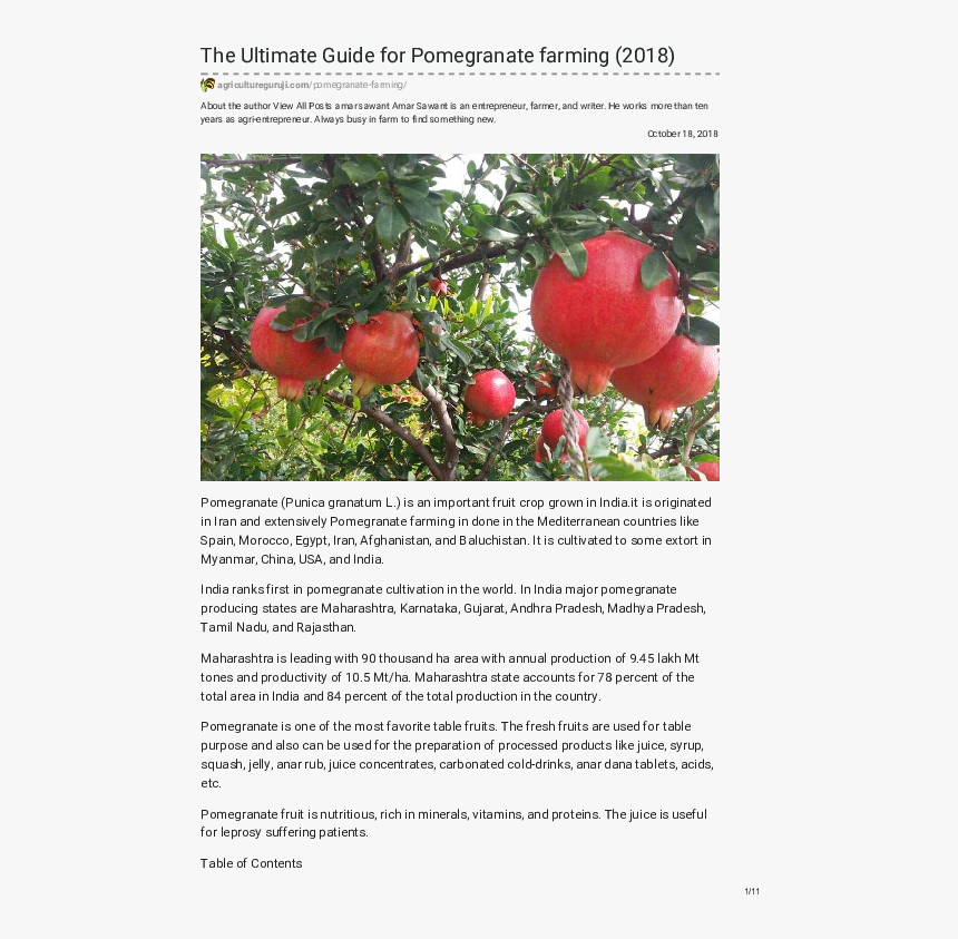 Transparent Anar Juice Png - Boron Deficiency In Pomegranate, Png Download, Free Download
