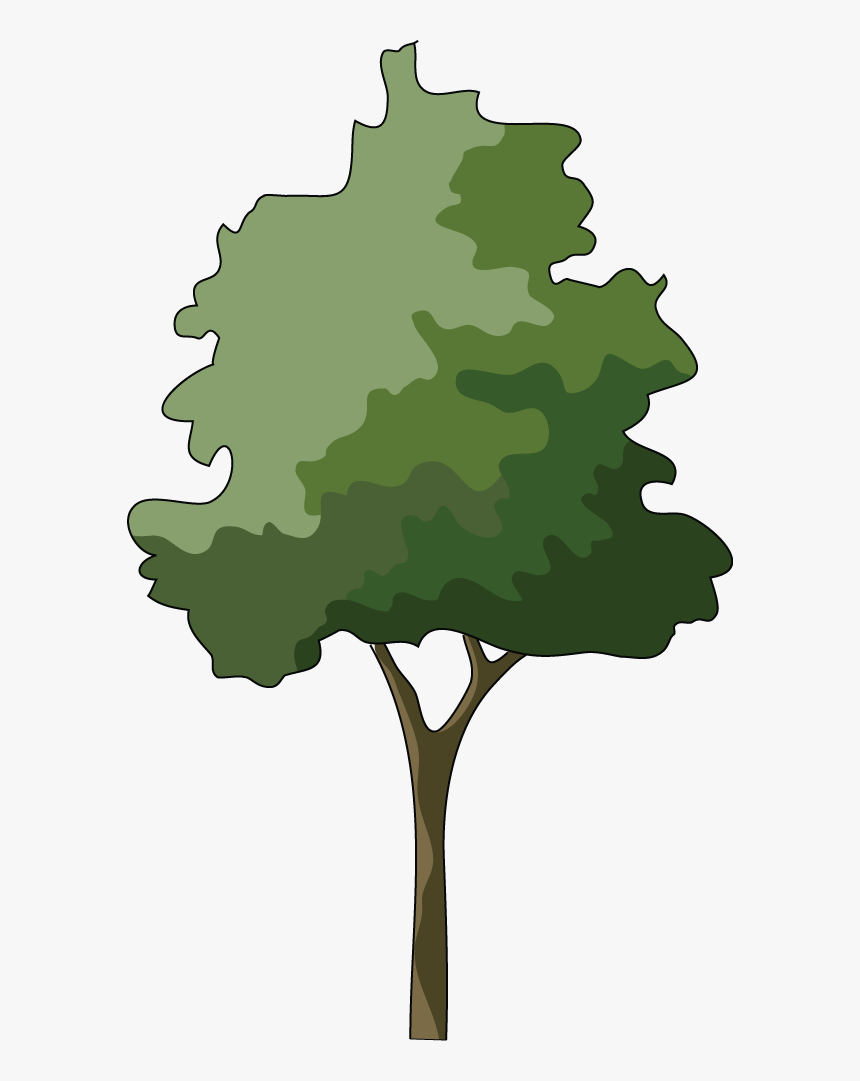 Branch Japanese Maple Tree Clip Art - Trees In Elevation Png, Transparent Png, Free Download