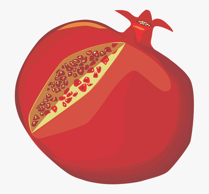 Pomegranate, Red, Rimon - Illustration, HD Png Download, Free Download