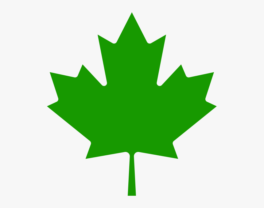 Aaevp Leaf - Canadian Red Maple Leaf, HD Png Download, Free Download