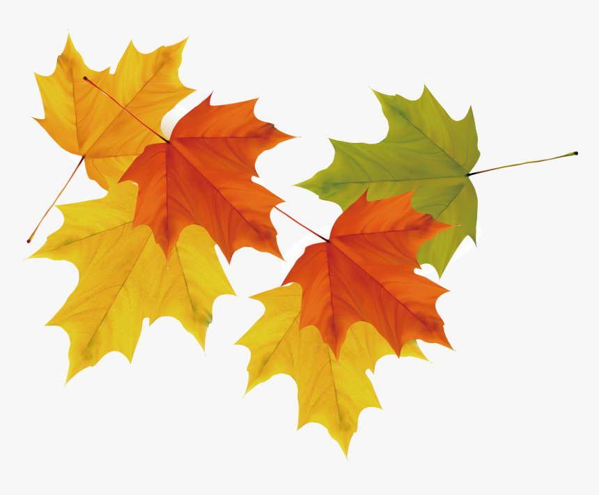 Maple Leaf Autumn - Autumn Leaf Clipart, HD Png Download, Free Download