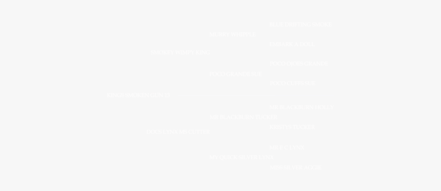 Kings Smoken Gun 13 Pedigree - Johns Hopkins White Logo, HD Png Download, Free Download