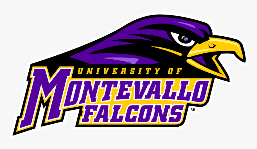Seventeen Falcons Playing In Collegiate Summer Leagues - University Of Montevallo Falcons, HD Png Download, Free Download
