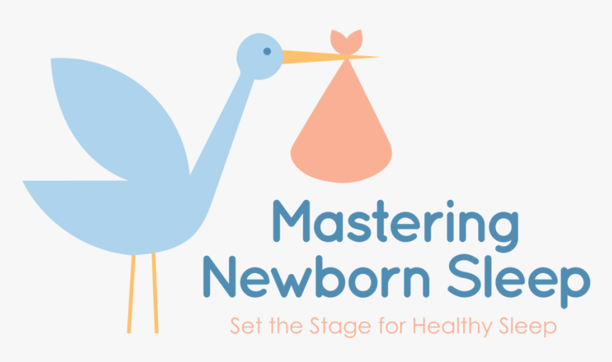 Mastering Newborn Sleep Logo With Tag - Raspberry Pi, HD Png Download, Free Download