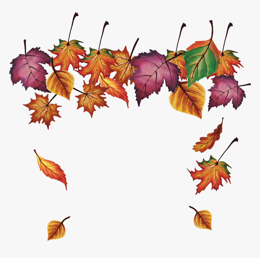 Transparent Free Clipart Autumn Leaves - Autumn Leaves Falling Png, Png Download, Free Download