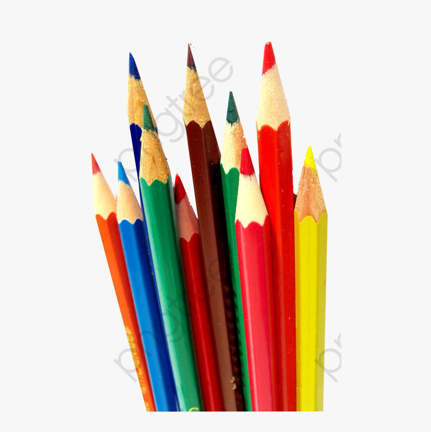 Colored Pencils Painting Crayons - Cactus Pencil Holder, HD Png Download, Free Download