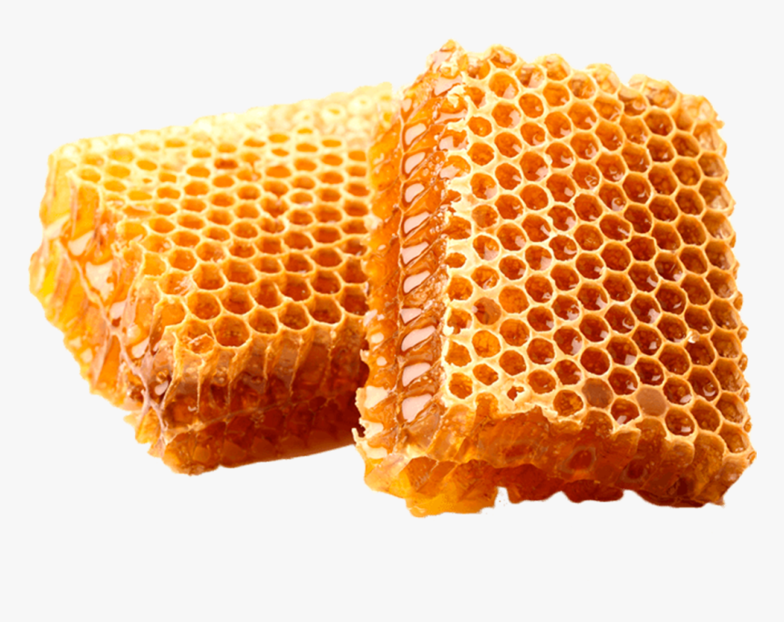 Honeycomb Stock Photography Beekeeping - Bee Wax, HD Png Download, Free Download
