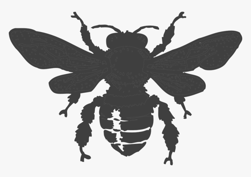 Bee, Beehive, Honey, Nature, Dark, Gray, Insect, Wasp - Honey Bee Silhouette Png, Transparent Png, Free Download