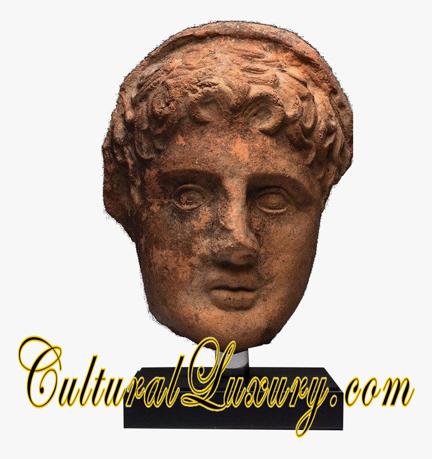 Bust, HD Png Download, Free Download