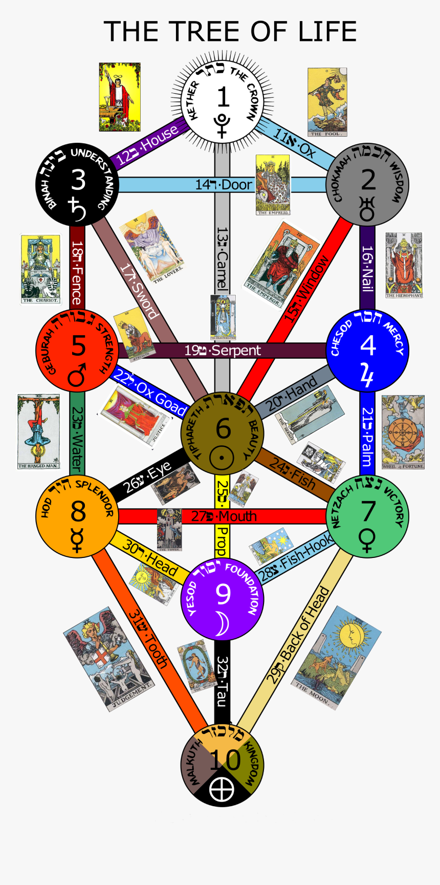 Kabbalah Tarot, HD Png Download, Free Download