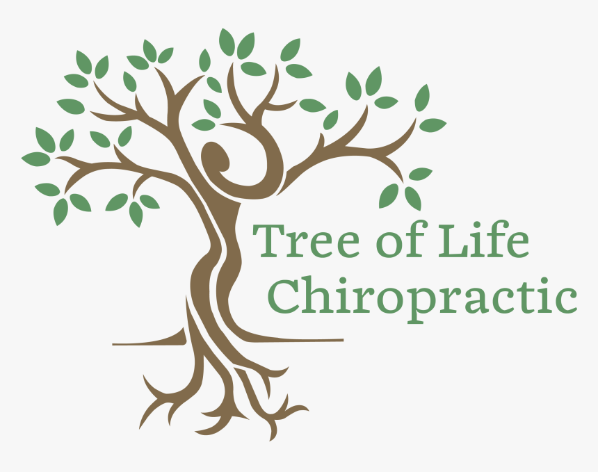 Chiropractic Tree Logo, HD Png Download, Free Download