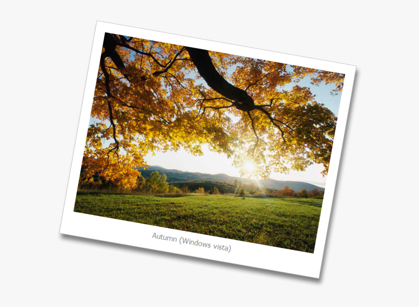 Autumn Leaves, HD Png Download, Free Download