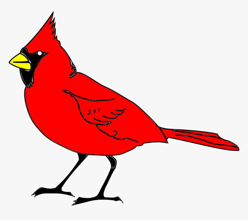 Cardinal, Bird, Animal, Red - State Bird For North Carolina, HD Png Download, Free Download
