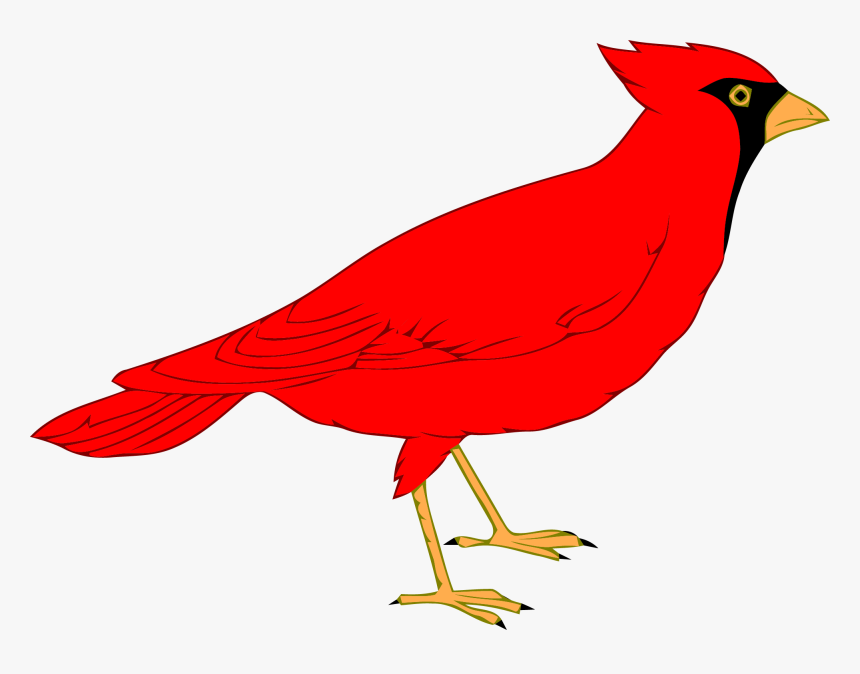 Northern Cardinal St - Clip Art Cardinal, HD Png Download, Free Download