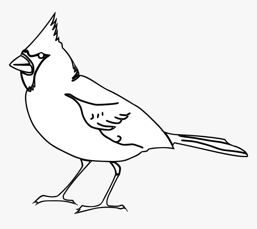 Cardinal Bird Svg Black And White Hd Png Download Kindpng Cardinal Bird Svg Black And White Hd Png Download Kindpng