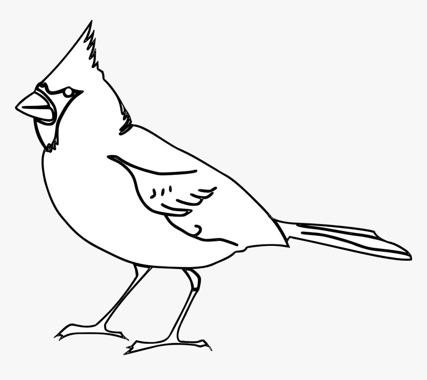 Cardinal Bird Svg Black And White, HD Png Download, Free Download