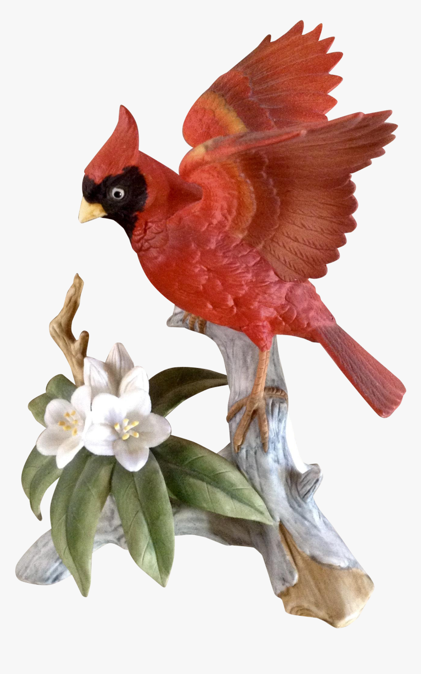 Transparent Cardinal Bird Png - Vintage Bird With Red Flowers, Png Download, Free Download