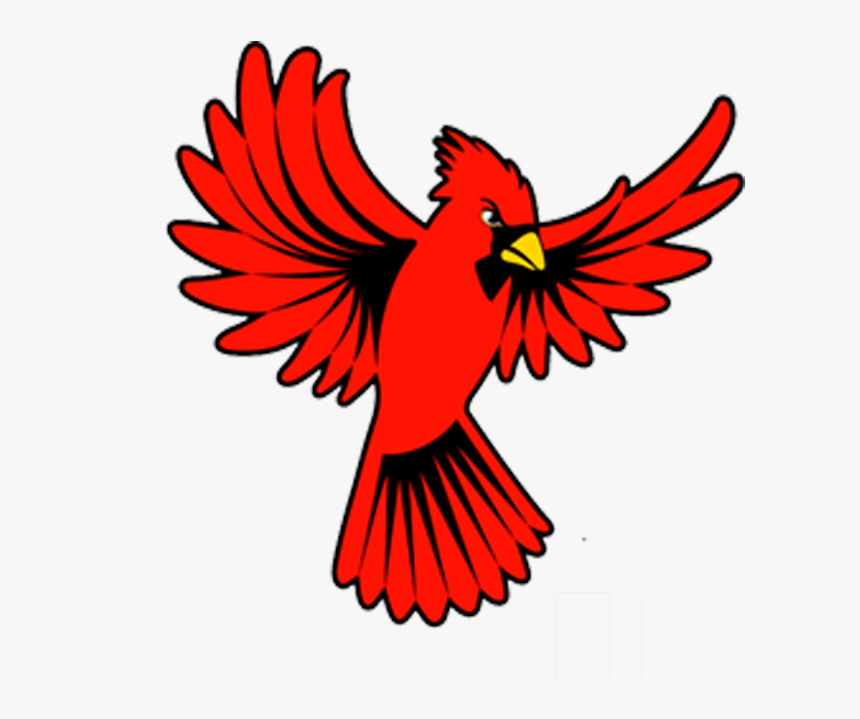 Cardinal Wings Open Clipart - Cardinal Bird Open Wings, HD Png Download, Free Download