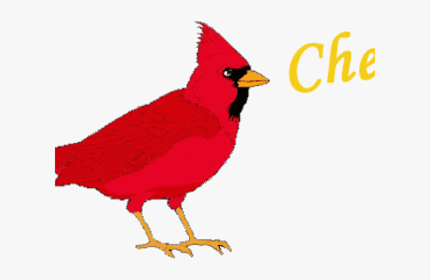 Transparent Cardinal Clipart - Northern Cardinal, HD Png Download, Free Download