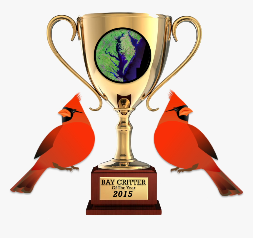 Gold-trophy - Trophée Png, Transparent Png, Free Download