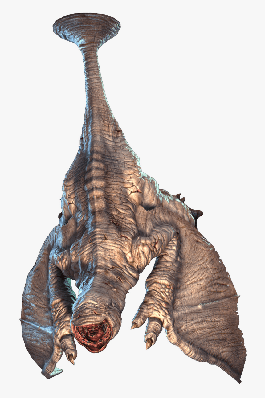 Transparent Monster Hunter World Png - Monster Hunter World Iceborne All New Monsters, Png Download, Free Download