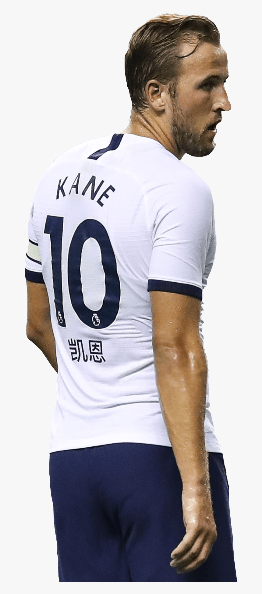 Harry Kane render, HD Png Download, Free Download