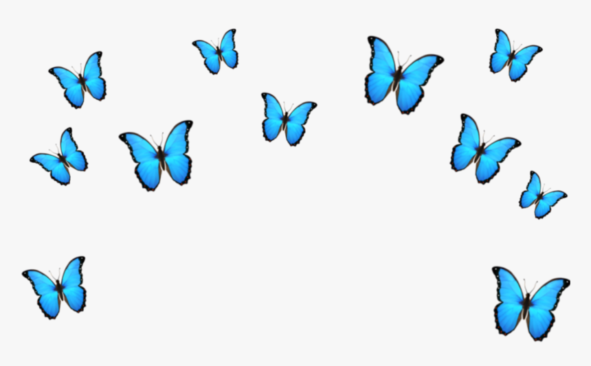 Transparent Blue Crown Clipart - Blue Butterfly Emoji Png, Png Download, Free Download